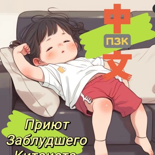 🀄ПРИЮТ ЗАБЛУДШЕГО КИТАИСТА🪭🏮