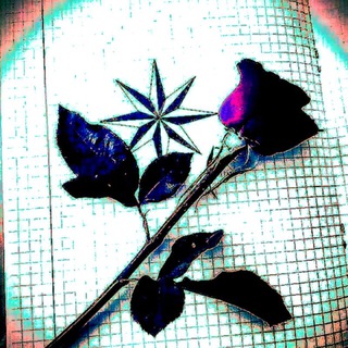 Какой пркас такой отказ_ какой привет такой ответ. 4209