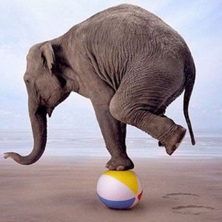 📢 Load & Performance