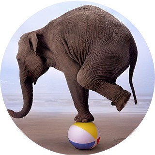 📢 QA — Load (job)