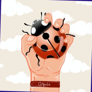 QApedia | Тестирование