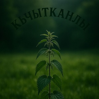 авылым Кычытканлы / село Кичкальня