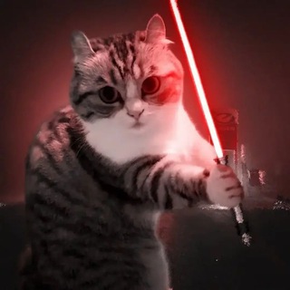 𝚀𝚀𝚀𝚆𝙸𝙽𝙽𝙴𝚁!