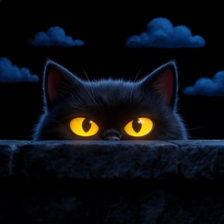 𝐐𝐮𝐢𝐜𝐤𝐃𝐚𝐧𝐜𝐞𝐏𝐡𝐨𝐭𝐨.𝐑𝐮