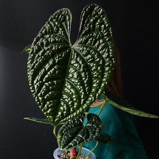 Тихое место 🌿