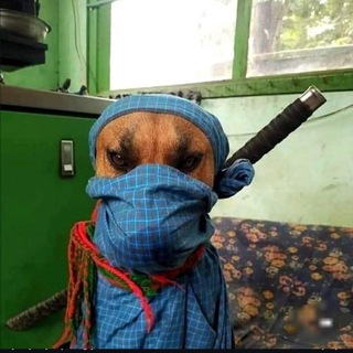 @qunixdesign beatstore 🎹🎶