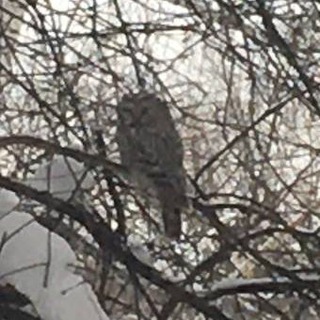 ~подслушано в 62 школе~