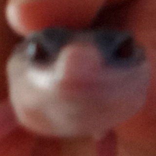 Князь Бутылкин: гневник