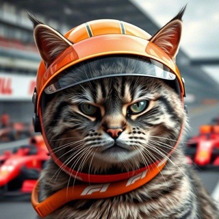 Гоночный Манул • Формула-1