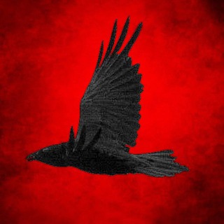 Радагор Воронов - писатель фантаст