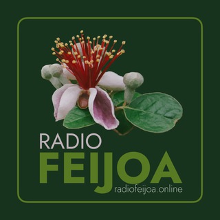 Радио Фейхоа