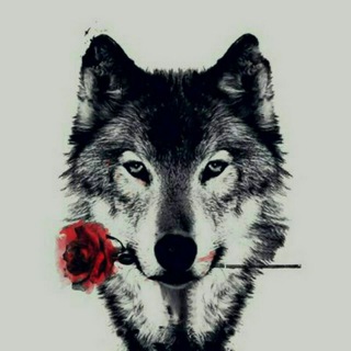 ❤️❤️SeVgI OsToNaSi❣❣