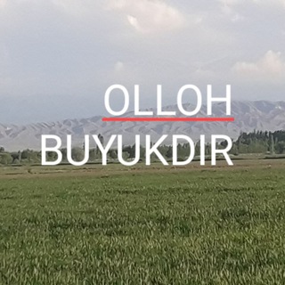 👮‍♂️❤🧕HARBIYLAR VA MUSLIMALAR