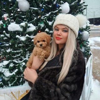 Бишон Фризе, Мальтипу: Гипоаллергенные собачки @RadoctiDog