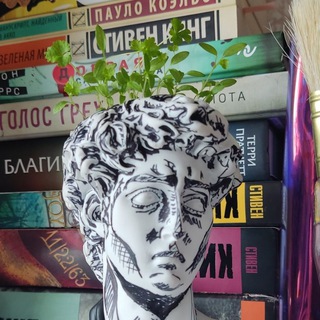 белый шум| звуки дождя