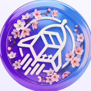 RAKETA • Официальная доставка из Китая🚀