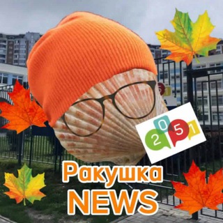 Ракушка Новости🐚