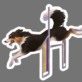 Бордер Колли Ральф