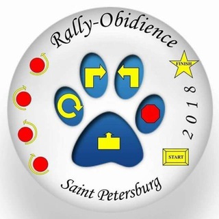 🛑🔄 Ралли Обидиенс в России 🛑