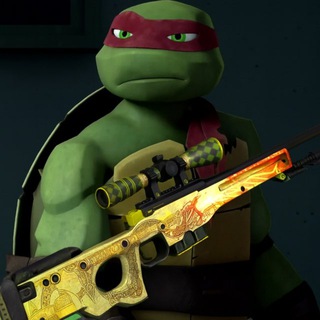 RAPH-SKINS | CS2