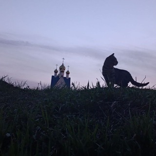 даня раптанов. стихи