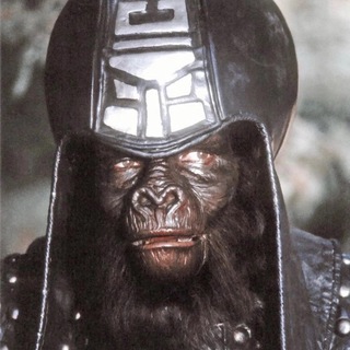 Мой магазин редких вещей