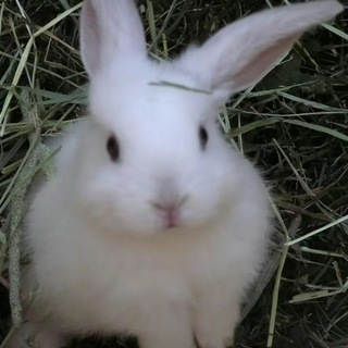 @рарарчиве ⏐ Музыка