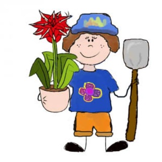 Рассада Почтой