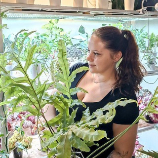 Коллекция растений Катерины Ершовой