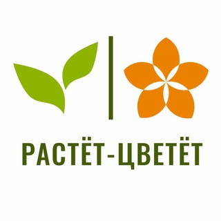 Цветочная база | Букеты | Доставка | Павловский посад