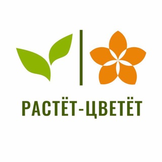 Растет Цветет | Доставка цветов | Воронеж