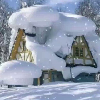 💞Sevgi yo'lida💞 Uyda qoling!!!