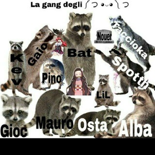 ༼ つ ◕◡◕ ༽ つ