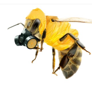 Мукимов Равшан (Башкирский мёд)