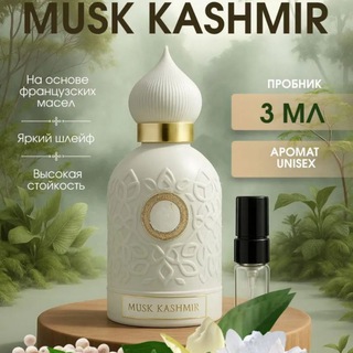 Раздача от dillyahz