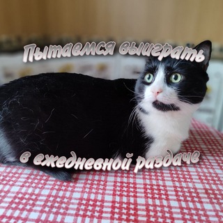 Привет пукай нюхай