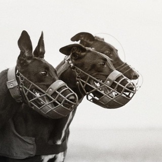 Трек «Раздолье»