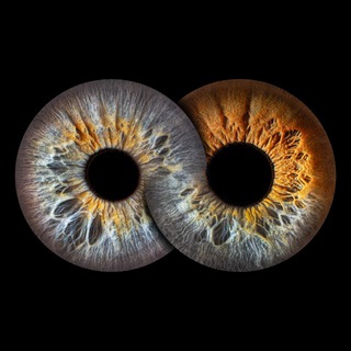 Разноглазый агент👁🪬