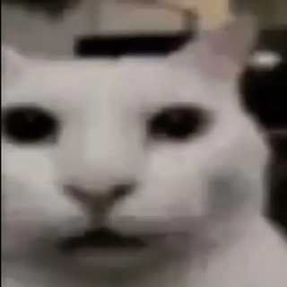 мысли разорчика xd