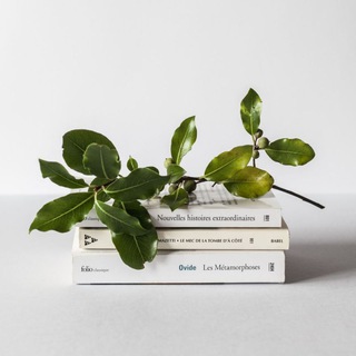 Твоя книга 📚