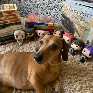 Алекс читает📚