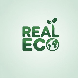 Реальная Экономика Финансы