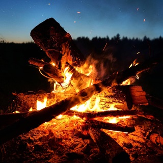 Реальные истории из жизни