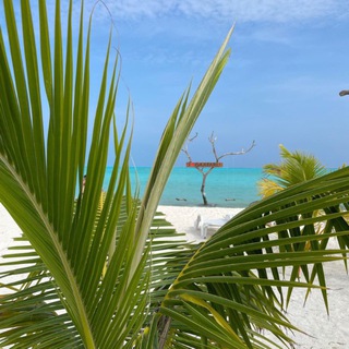 Реальные Мальдивы 🏝️