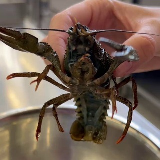 Та самая третья группа