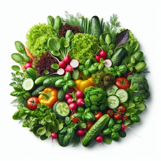 Быстрые рецепты🍕