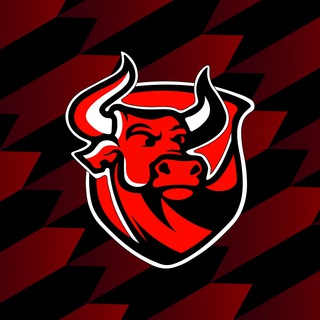 МФК «Red Bulls»