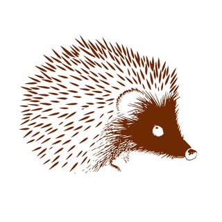 Редакция «Ежа»