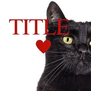 Редактор Стиля Жизни