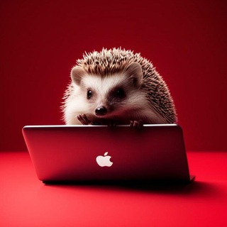 Редактор ЕЖ 🦔